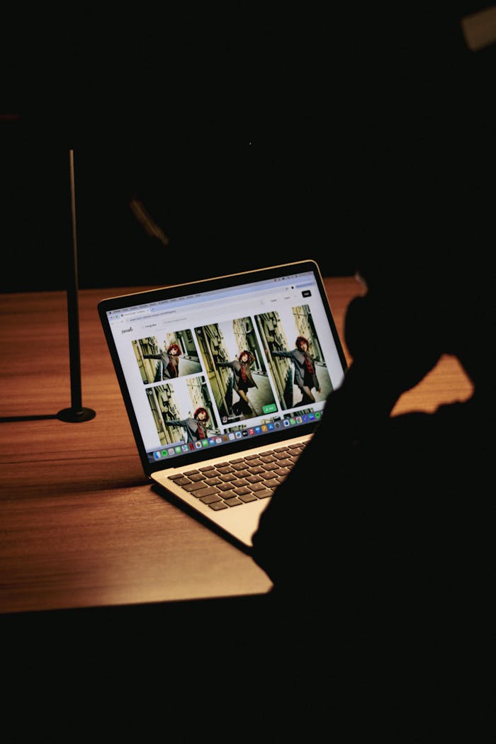 Silhouette of a person looking at a laptop with images displayed, captured in a dimly lit room.